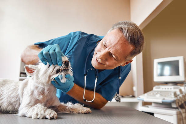 Best Emergency Denture Repair in Fallon, NV